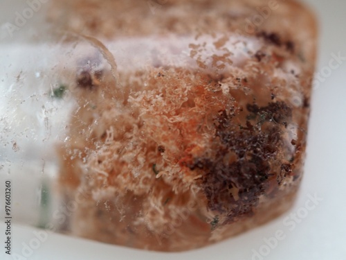 Macro Photograph of a Lodolite Stone Pendant