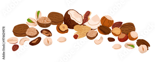 Nuts set. Walnuts, hazelnuts and coconut. Healthy vegan snack pistachios, chestnuts and almond, cashews and peanuts. Different superfood. Natural food, vector cartoon flat isolated illustration