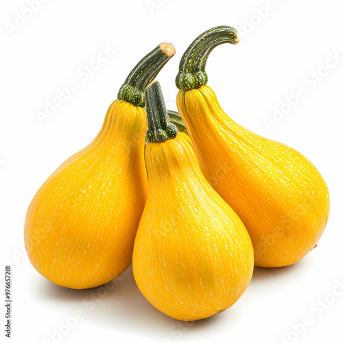 Fresh Butternut squash isolated on white background photo