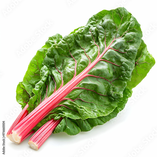 swiss chard isolated on white background photo