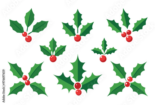 Flat Design Holly Leaves and Berries Vector Set Traditional Christmas Plant Elements