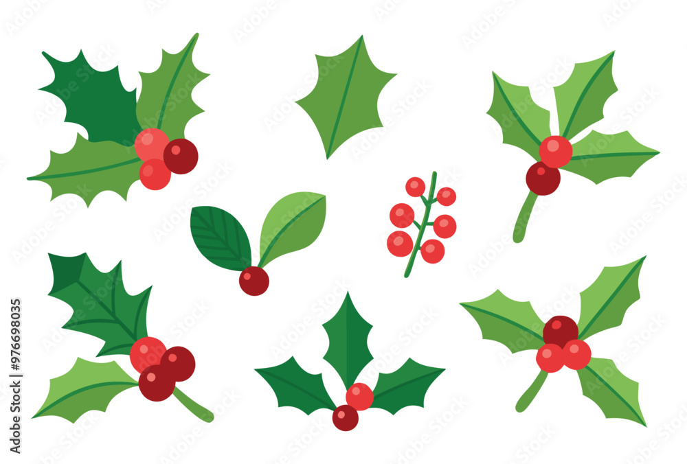 Flat Design Holly Leaves and Berries Vector Set Traditional Christmas Plant Elements Flat Design Holly Leaves and Berries Vector Set Traditional Christmas Plant Elements