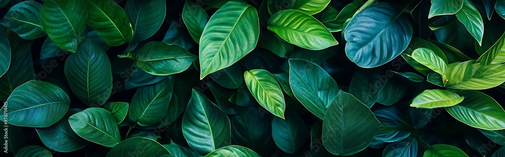 A close-up of lush green leaves, showcasing the intricate details of their veins and texture. A close-up of lush green leaves, showcasing the intricate details of their veins and texture.