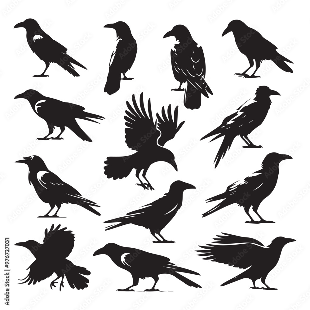 Fototapeta premium Set of crow silhouette vector on a white background