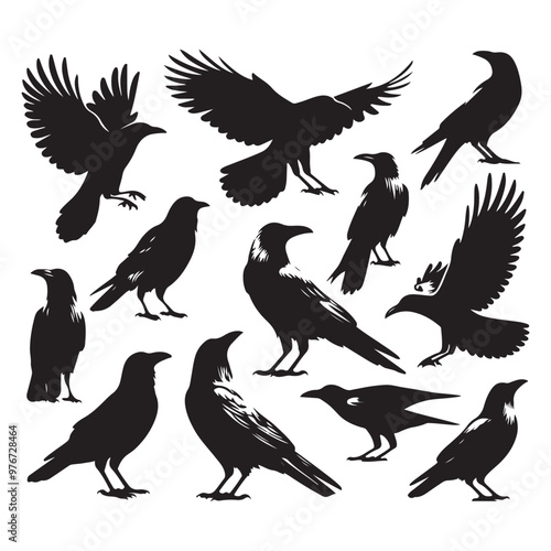 Set of crow silhouette vector on a white background