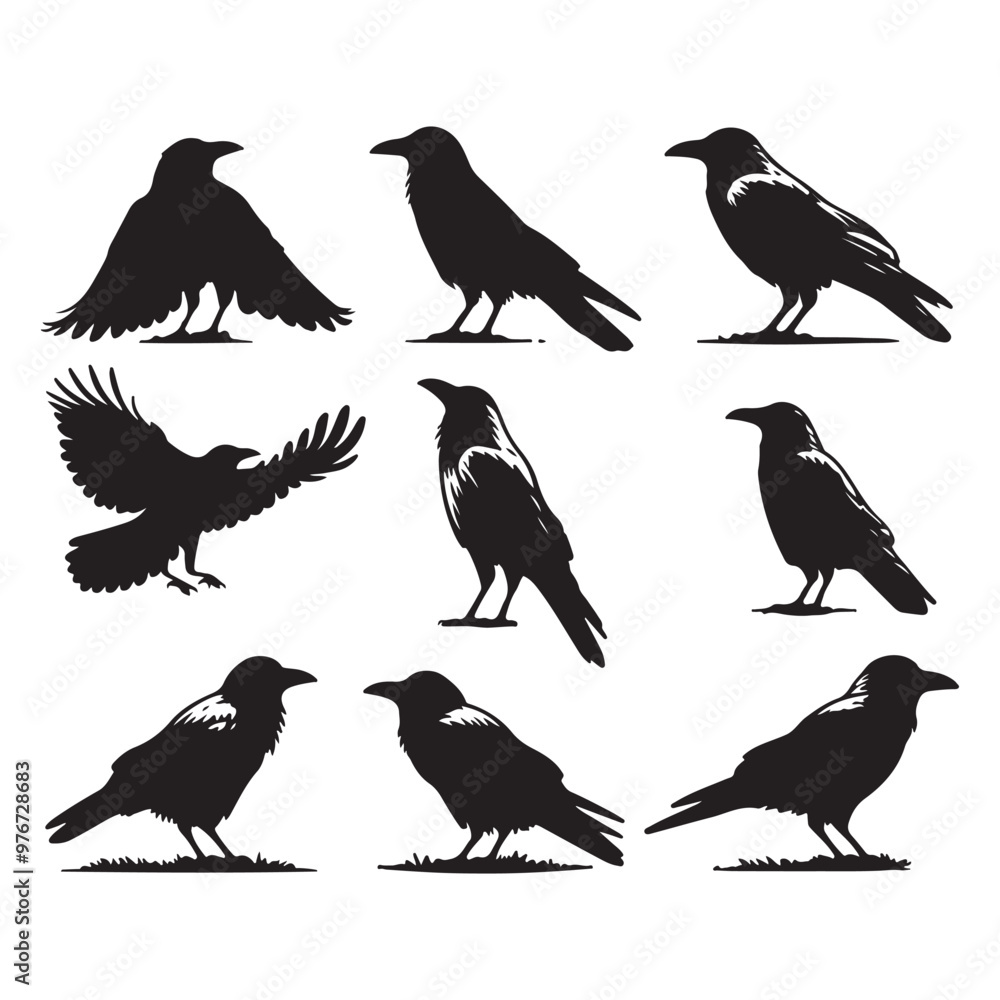 Fototapeta premium Set of crow silhouette vector on a white background