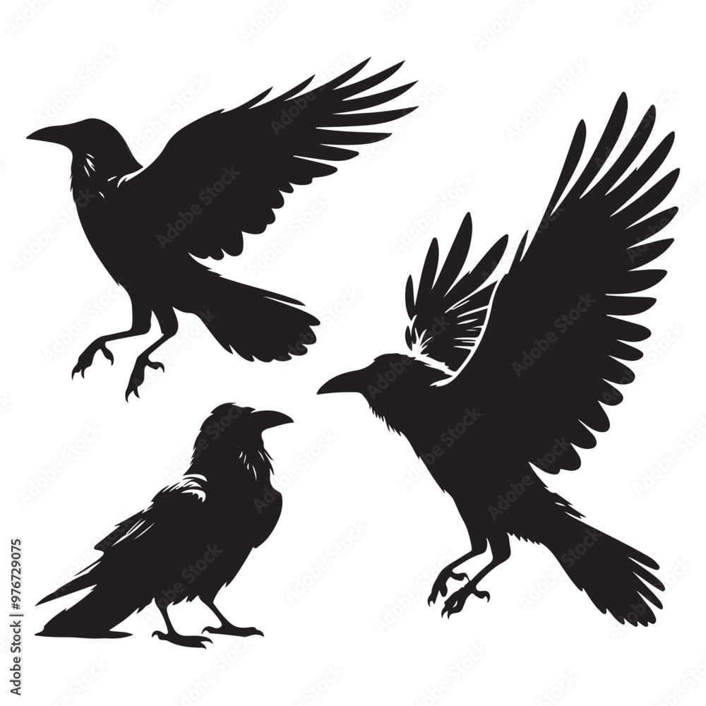 Obraz premium Set of crow silhouette vector on a white background