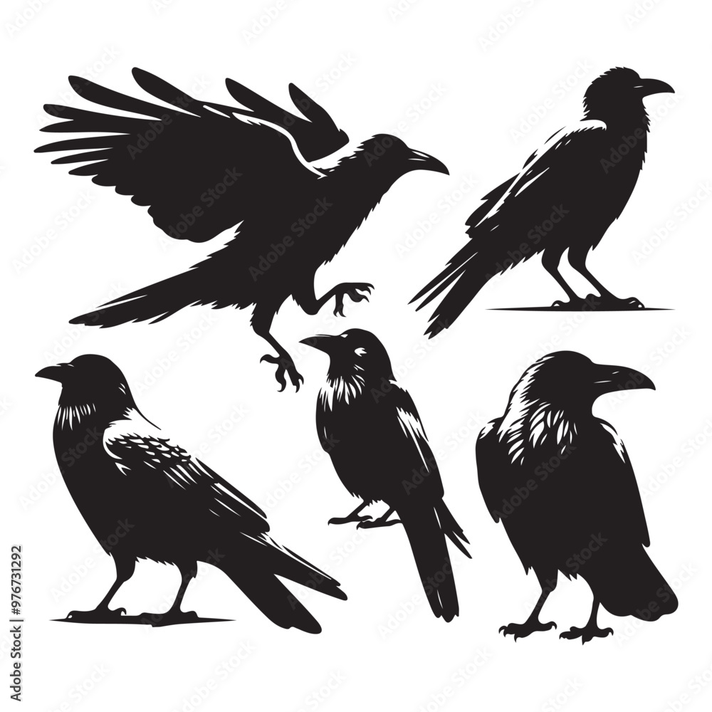 Obraz premium Set of crow silhouette vector on a white background