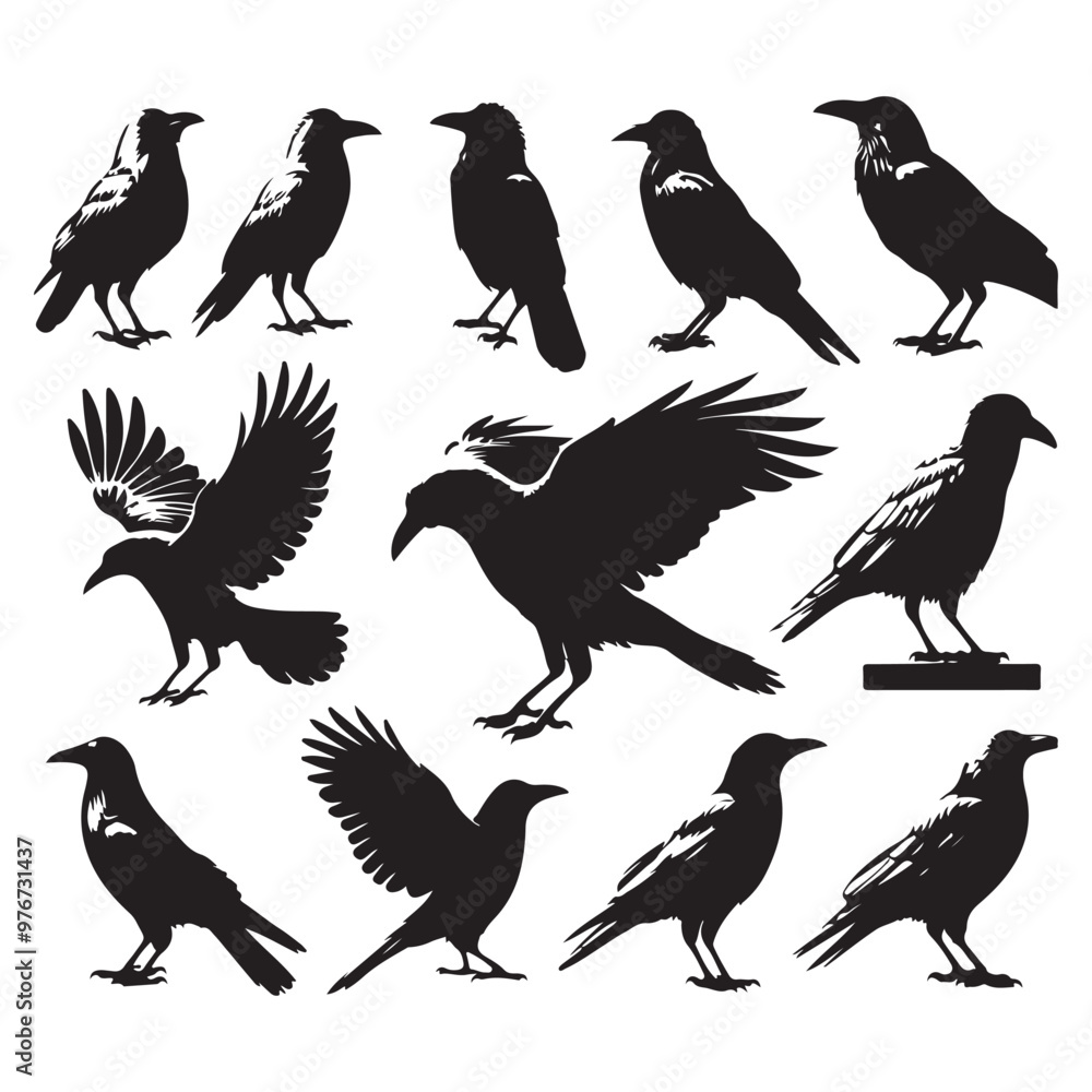 Obraz premium Set of crow silhouette vector on a white background