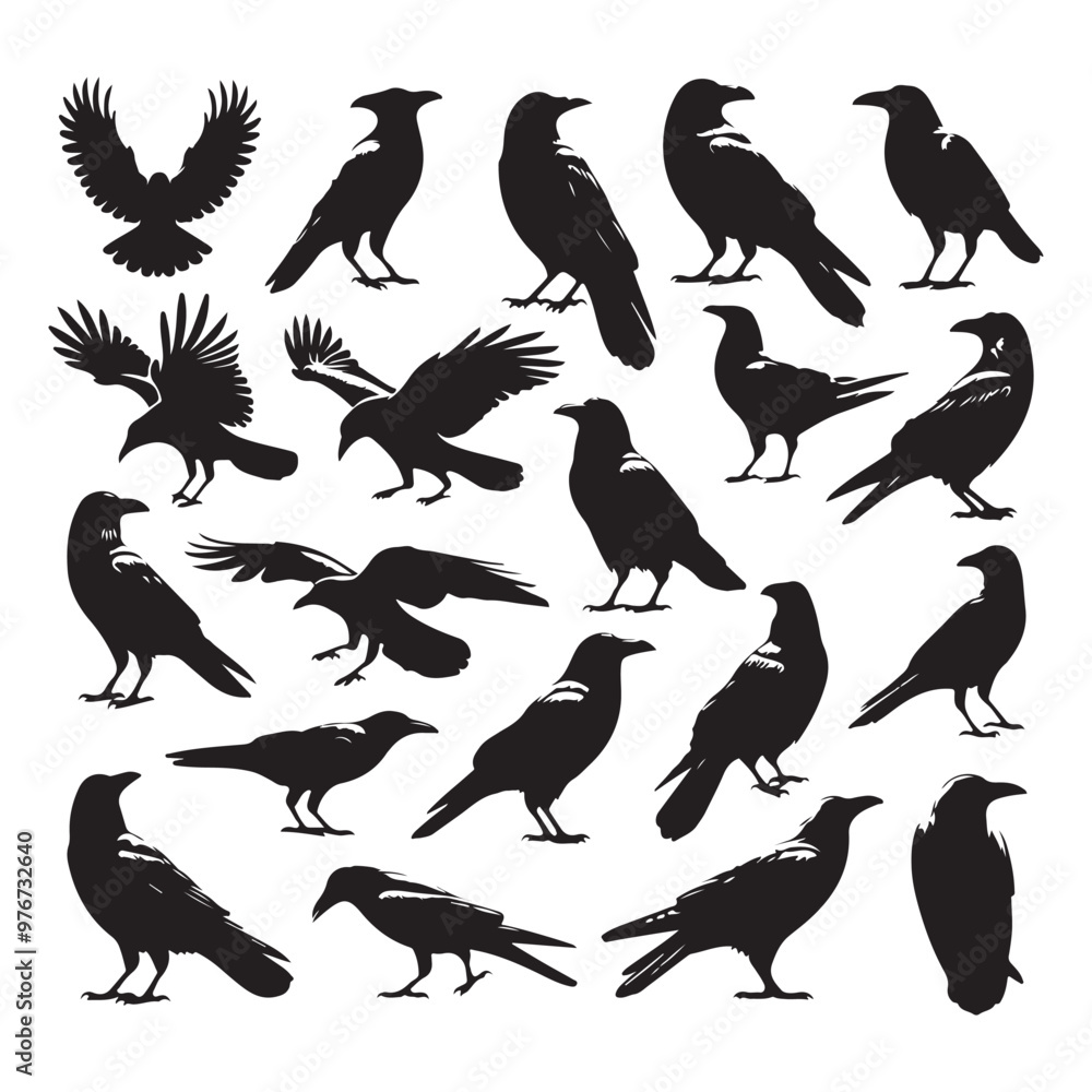 Fototapeta premium Set of crow silhouette vector on a white background