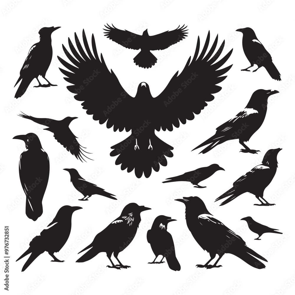 Obraz premium Set of crow silhouette vector on a white background