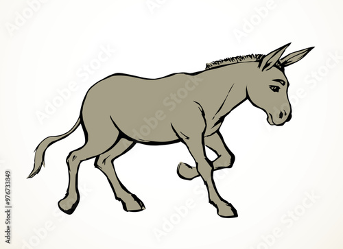 Vector drawing. Cute old mule