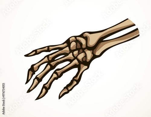 Vector drawing. Bones of the hand