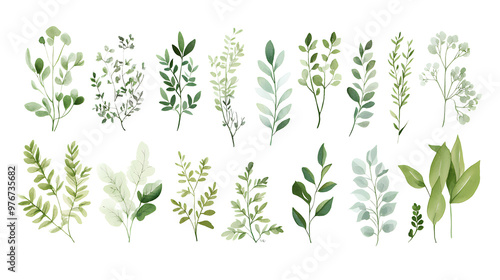 Wallpaper Mural Watercolor illustrations of green leaves and branches. Torontodigital.ca