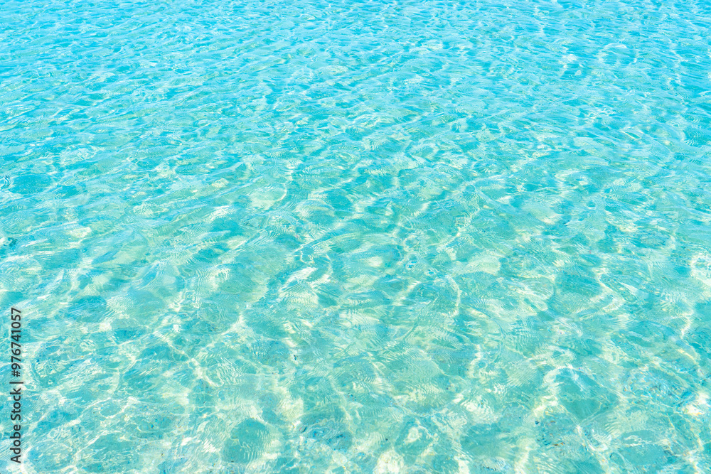 Obraz premium 透明な海の水面