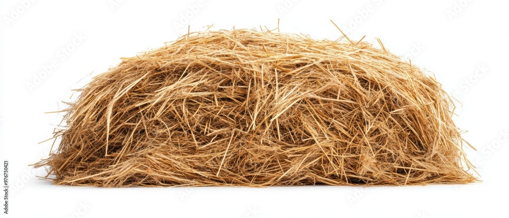 A rustic haystack, showcasing straw texture and natural color. Perfect for agricultural themes, farm life, and rural settings. A rustic haystack, showcasing straw texture and natural color. Perfect for agricultural themes, farm life, and rural settings.