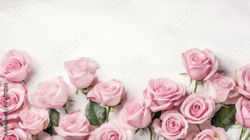 Pink roses frame on white background. Top view. Copy space. Flowers background
