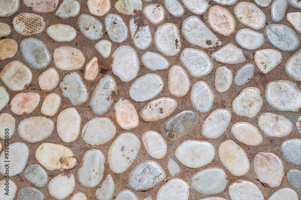 Detailed close-up of a white pebble stone path, showing a variety of smooth stones embedded in the ground, creating a textured design. Detailed close-up of a white pebble stone path, showing a variety of smooth stones embedded in the ground, creating a textured design.