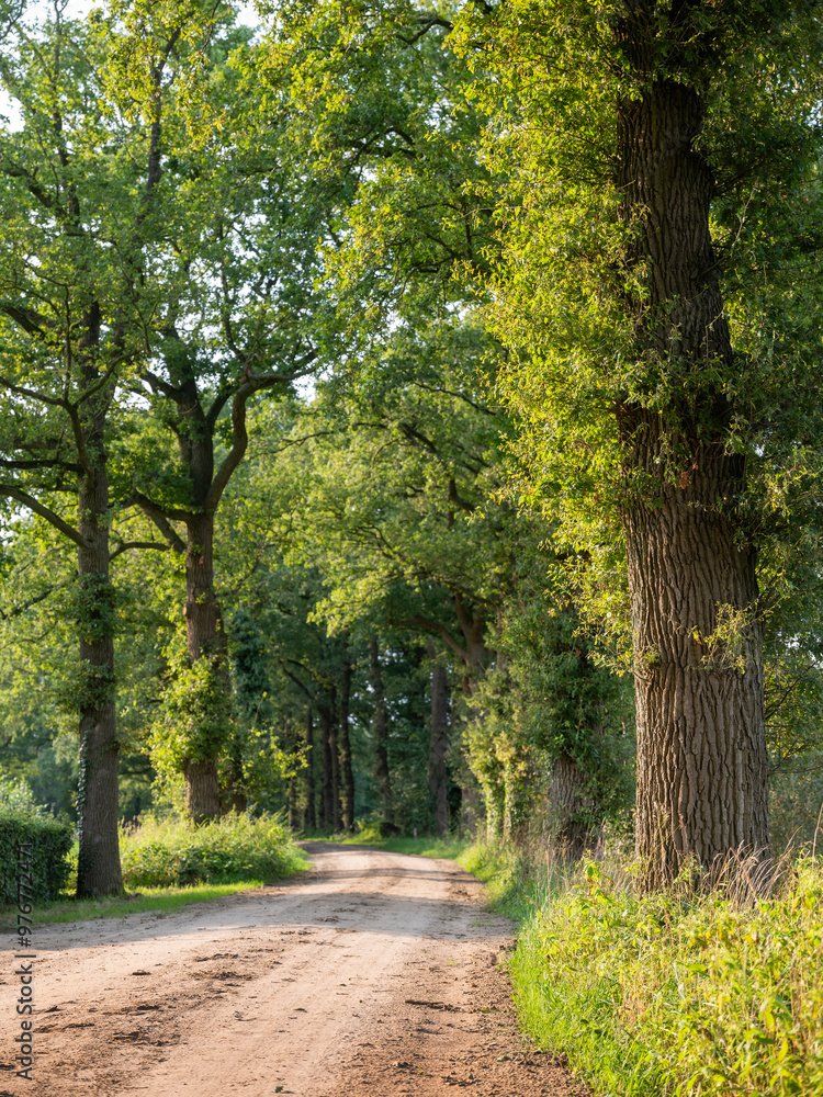 dirt road near doetinchem in dutch achterhoek near doetinchem dirt road near doetinchem in dutch achterhoek near doetinchem