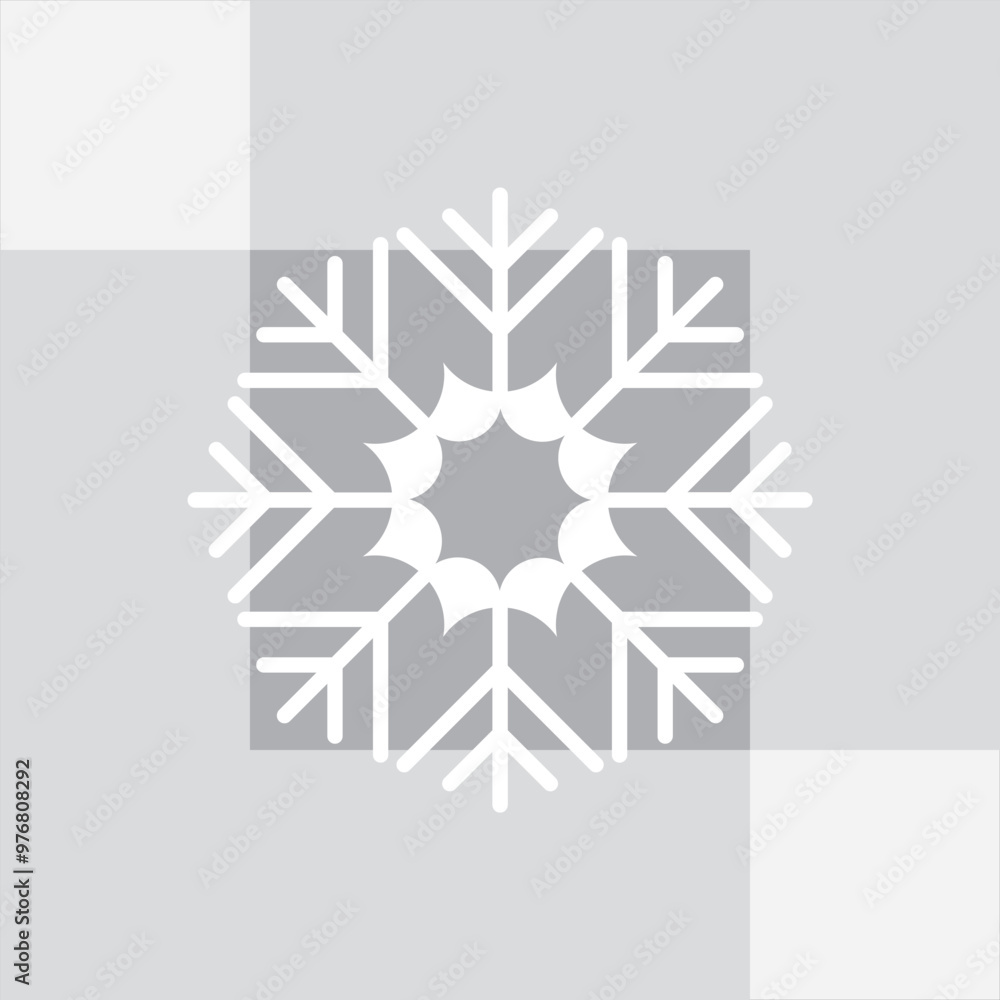 Snowflake with exquisite symmetrical design Snowflake with exquisite symmetrical design
