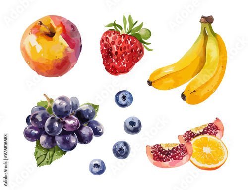 Watercolor painting of assorted fruits, Peach, strawberry, banana, grapes, blueberry, pomegranate and orange slices. vector illustration