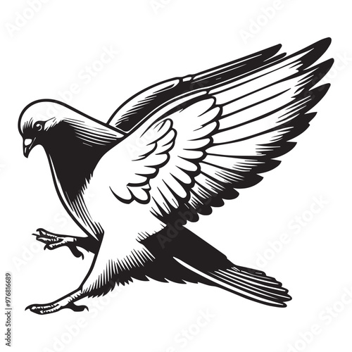 Domestic pigeon Outline Clipart -  Columbidae Bird Vector illustration in black and white 