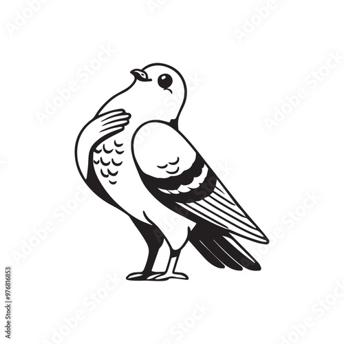 Domestic pigeon Outline Clipart -  Columbidae Bird Vector illustration in black and white 
