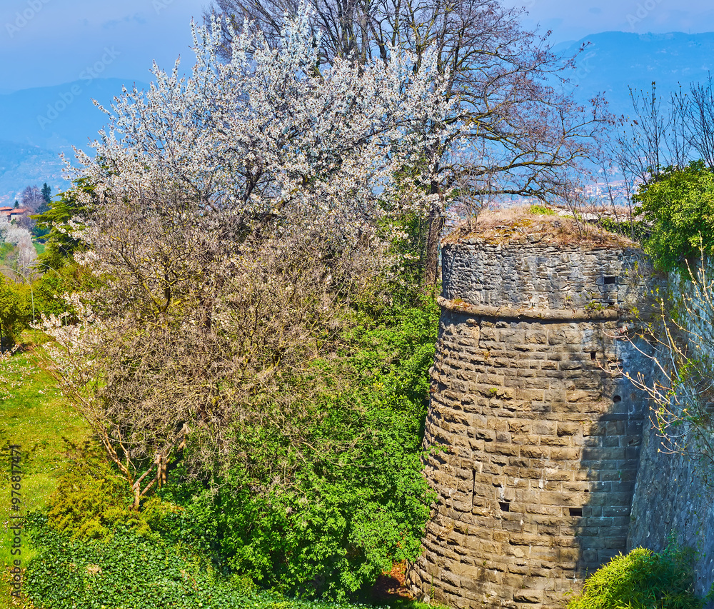 The ruins of Castello di San Vigilio and flowering park, Bergamo, Italy