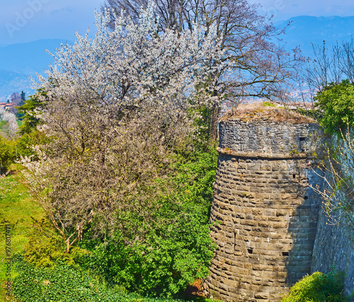 Obraz na płótnie The ruins of Castello di San Vigilio and flowering park, Bergamo, Italy w salonie