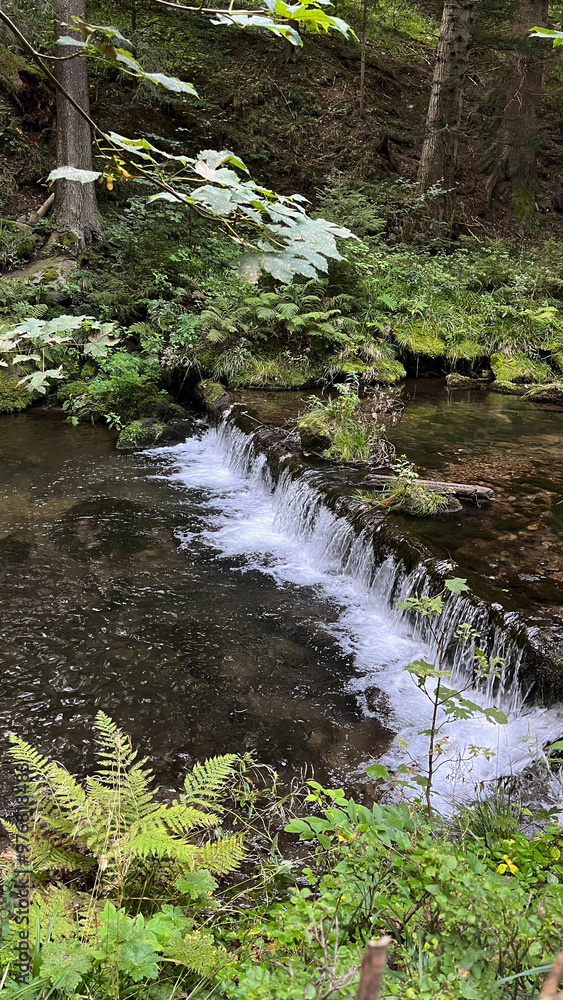 Obraz premium A small mountain river with a flow of water in the Polish mountains. Eastern Sudetes