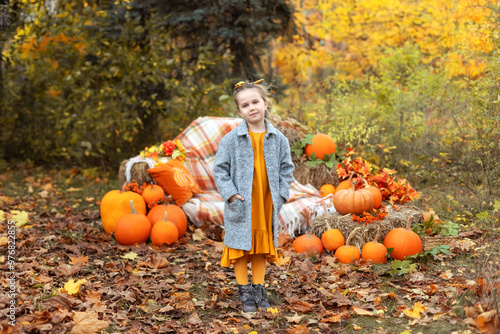 Little girl in coat with yellow foliage on fall backyard at home decorated orange pumpkins. Small fun girl rest on nature with pumpkins near bench with plaid from haystacks in autumn garden