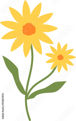 Handdrawn summer flower illustration