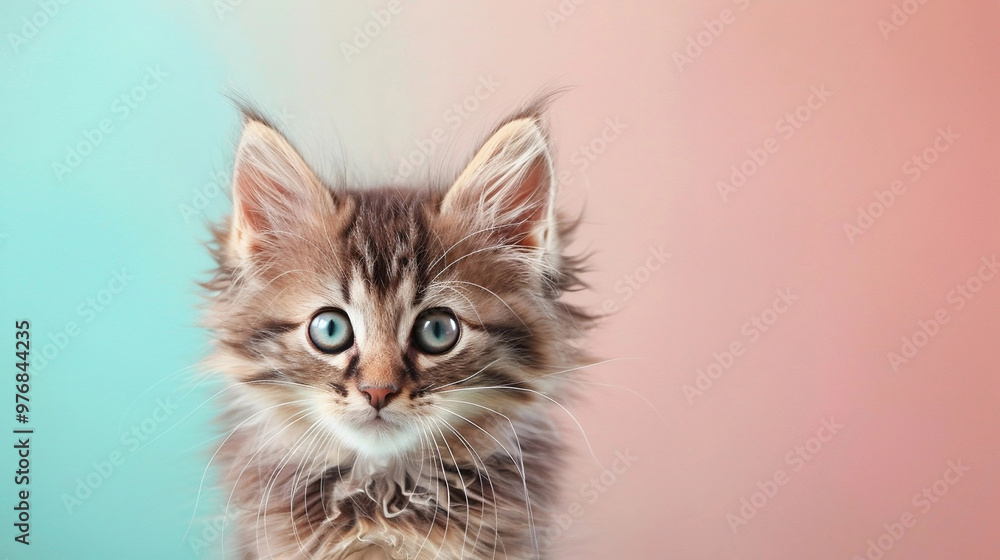 Fototapeta premium Charming Kitten Staring with Wide Eyes