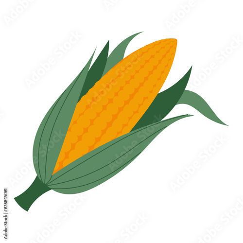 A cartoonish drawing of a corn cob with green leaves