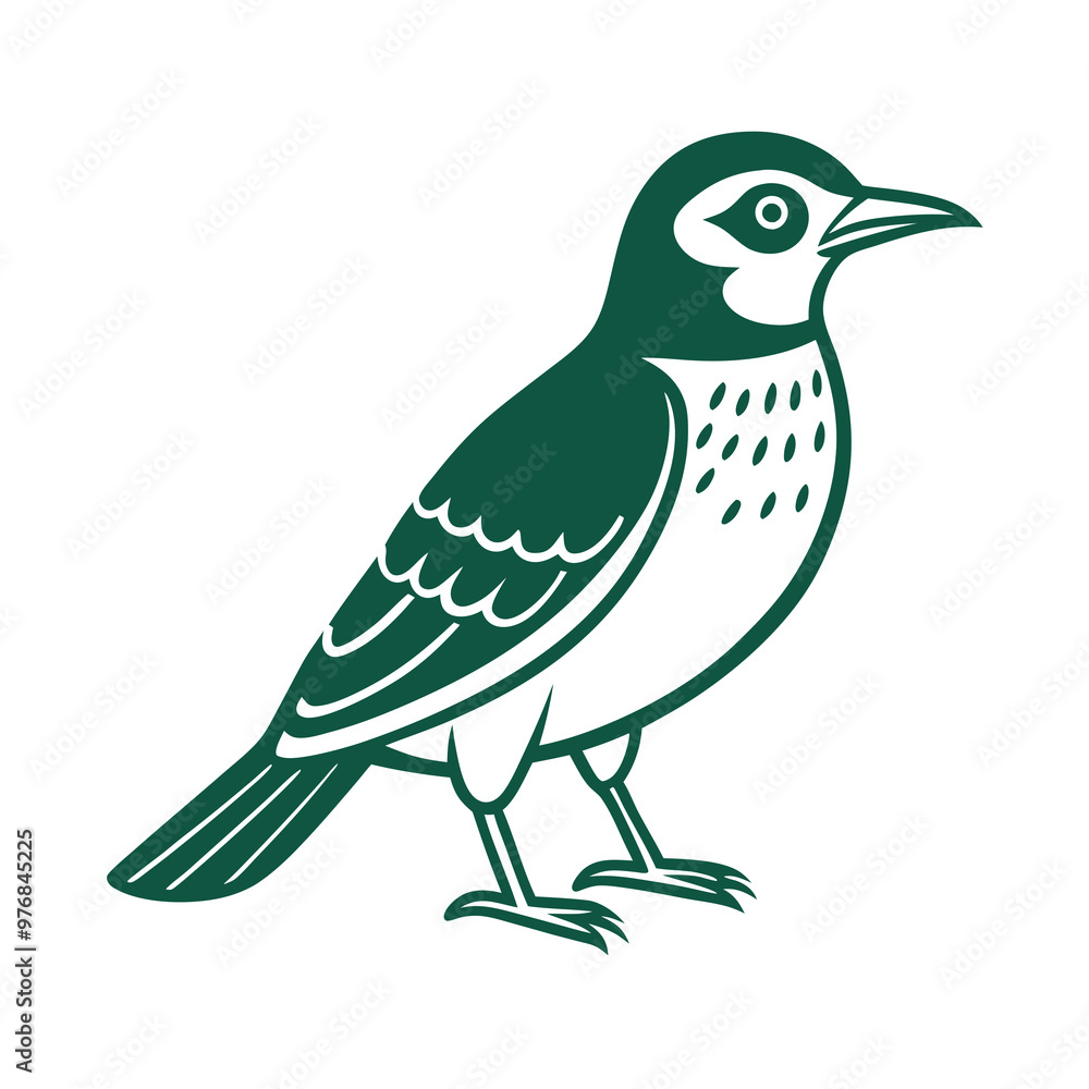 illustration of a bird