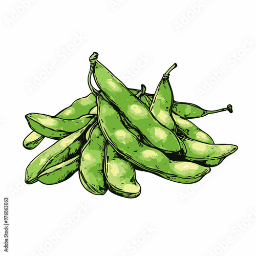 Vector Illustration of Fresh Green Edamame Pods