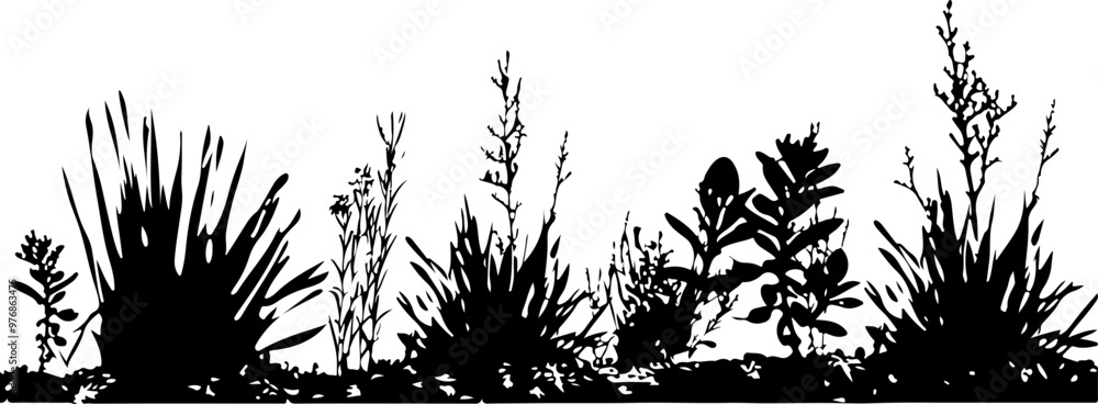 Silhouette of Diverse Plants Against White Background Silhouette of Diverse Plants Against White Background