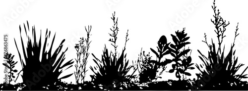 Silhouette of Diverse Plants Against White Background