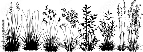 Silhouette of Various Grasses and Plants