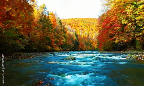  A river flowing through a dense autumn forest