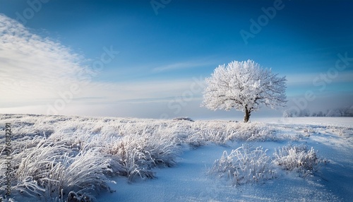 Frozen meadow with a single snow-covered tree