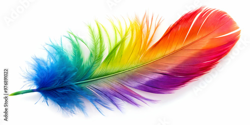 Vibrant and colorful feathers on a white background, feathers, colorful, vibrant, isolated, white background, beauty