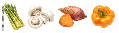 Assorted fresh vegetables isolated on transparent background. Realistic illustration. Healthy eating and organic produce concept. Clipart for cookbook, menu, and grocery store advertising.