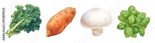 Assorted fresh vegetables isolated on transparent background. Realistic illustration. Healthy eating and organic produce concept. Clipart for cookbook, menu, and grocery store advertising.