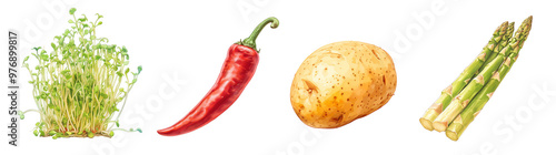 Assorted fresh vegetables isolated on transparent background. Realistic illustration. Healthy eating and organic produce concept. Clipart for cookbook, menu, and grocery store advertising.