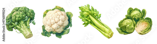 Assorted fresh vegetables isolated on transparent background. Realistic illustration. Healthy eating and organic produce concept. Clipart for cookbook, menu, and grocery store advertising.