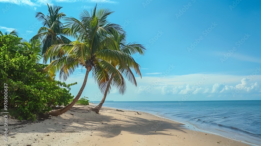 Obraz premium Palm trees on a deserted dreamy tropical sandy seashore