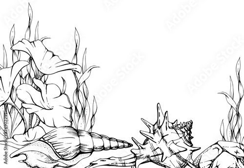 Marine life, sea ocean underwater creatures fish, shells algae seaweed, Ink and pen sketch hand drawn. Border frame illustration, stylized, isolated on white. For zoo shop, aquarium, cosmetics, resort