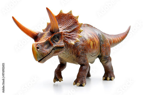 Realistic Triceratops isolated on white background