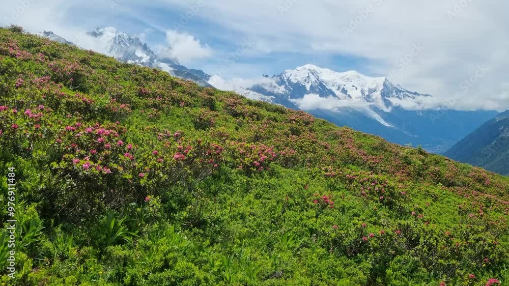 Picturesque view of the Mont Blanc mountain and glacier while hiking Tour du Mont Blanc. Popular tourist attraction. Alps, Chamonix-Mont-Blanc, France, Europe. Picturesque view of the Mont Blanc mountain and glacier while hiking Tour du Mont Blanc. Popular tourist attraction. Alps, Chamonix-Mont-Blanc, France, Europe.